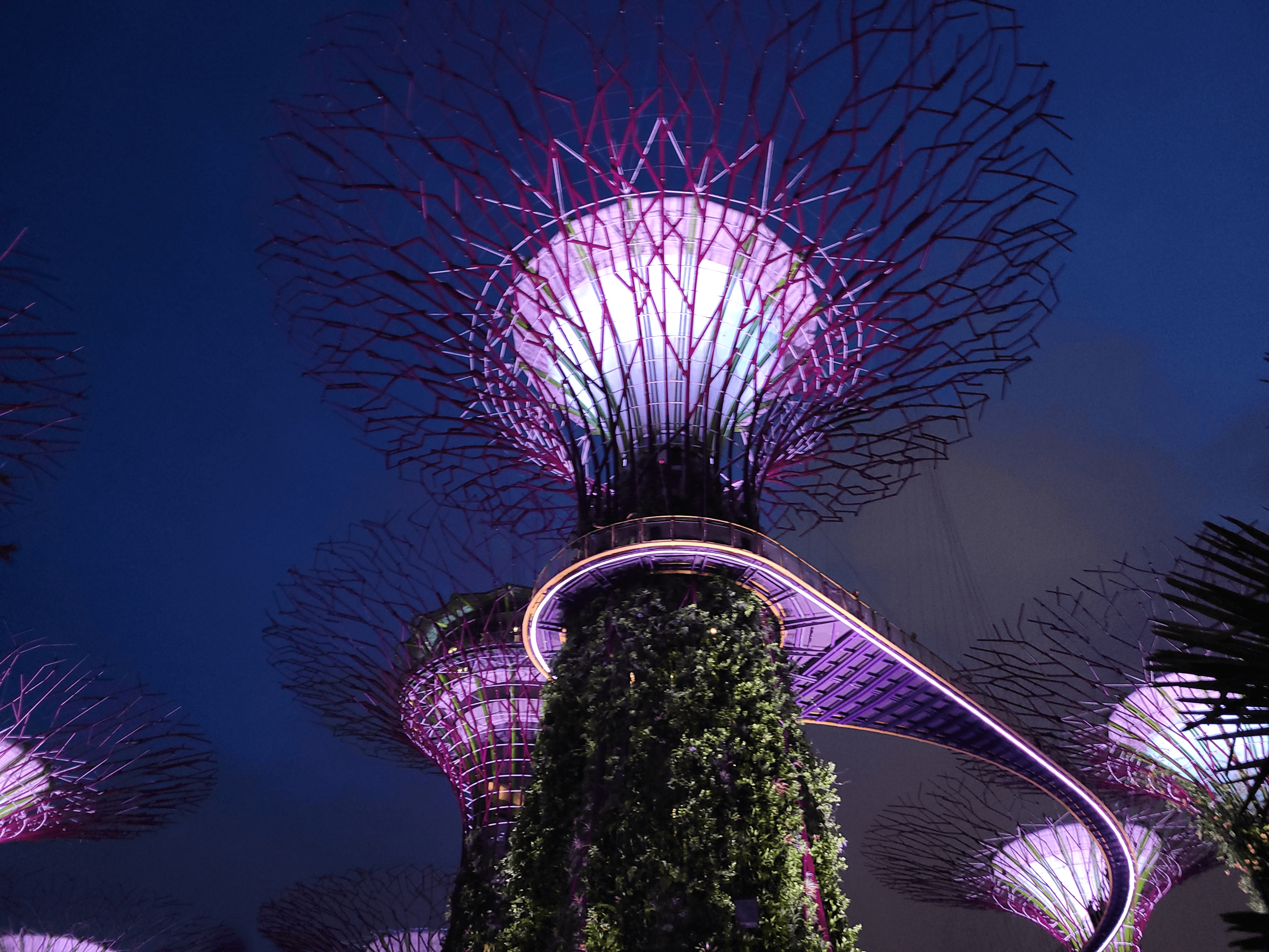 Picture taken by Anish at Gardens by Bay, Singapore